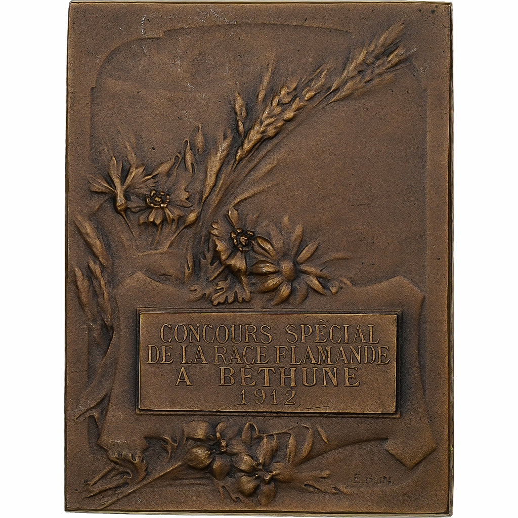 Francia, medalla, Concours spécial de la race flamande - Béthune, 1912