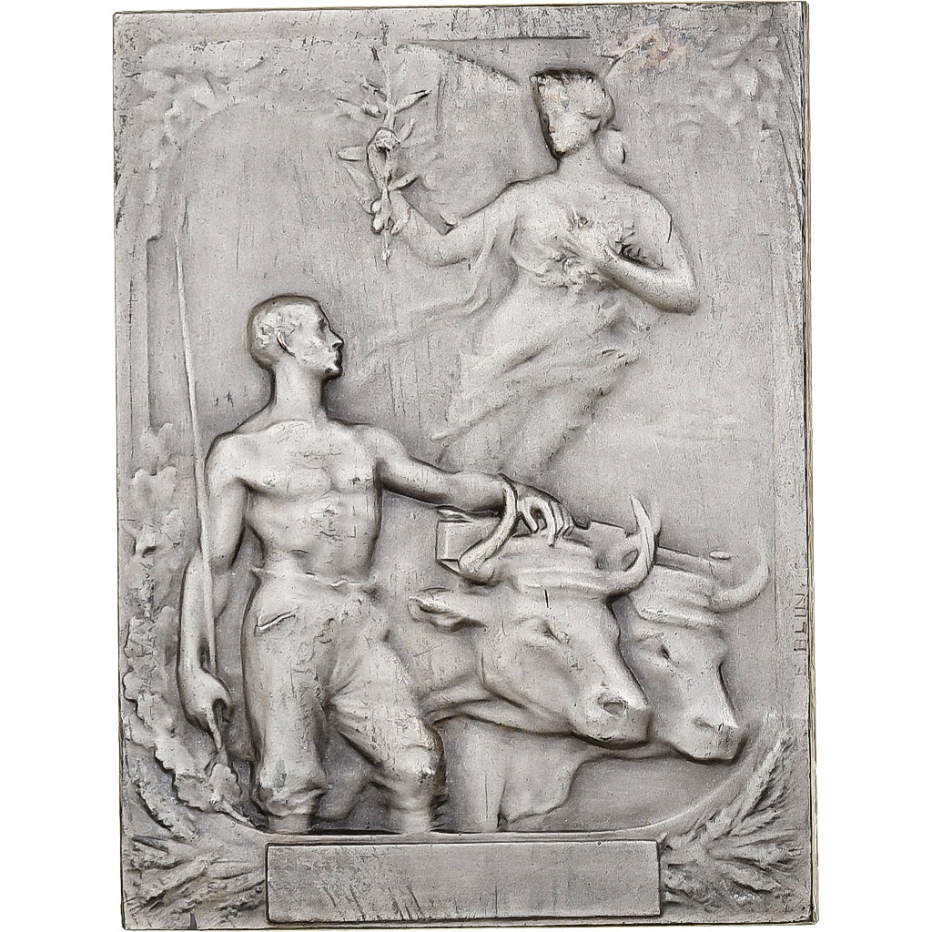 France, Medal, Concours d'Animaux Reproducteurs, Arras, 1908, Silvered bronze