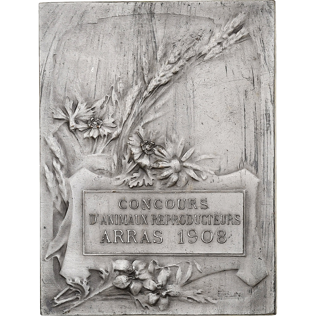 France, Medal, Concours d'Animaux Reproducteurs, Arras, 1908, Silvered bronze