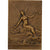 Francia, medalla, Saint-Omer, 1913, Bronce, Delpech, EBC