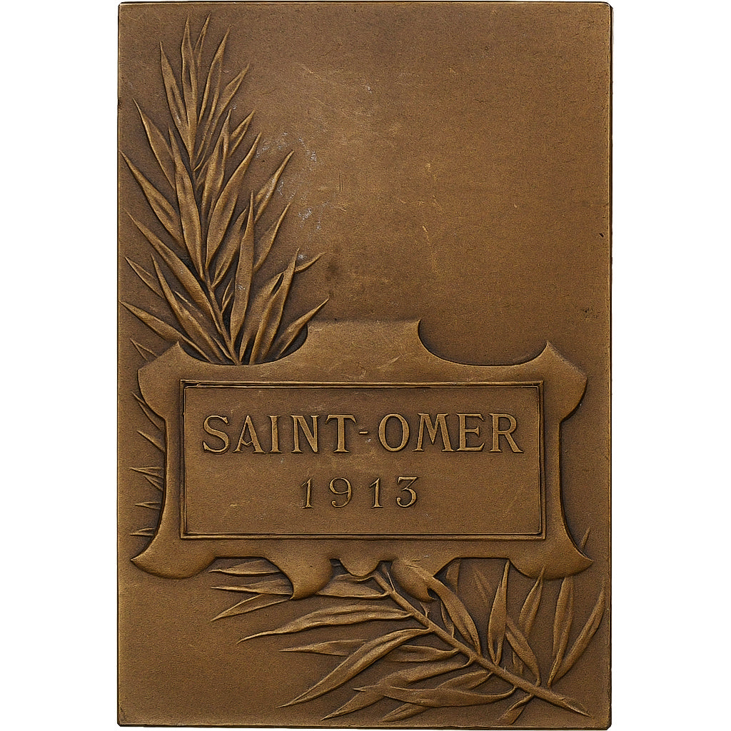 France, Médaille, Saint-Omer, 1913, Bronze, Delpech, SUP