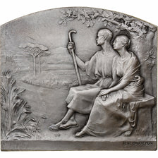 Frankrijk, Medaille, Mariages, Noces, Zilver, Baudichon, PR