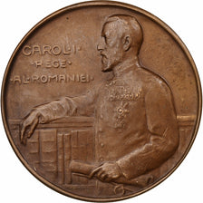 Romania, Medal, Fondation Université Charles Ier, Bronze, EF(40-45)
