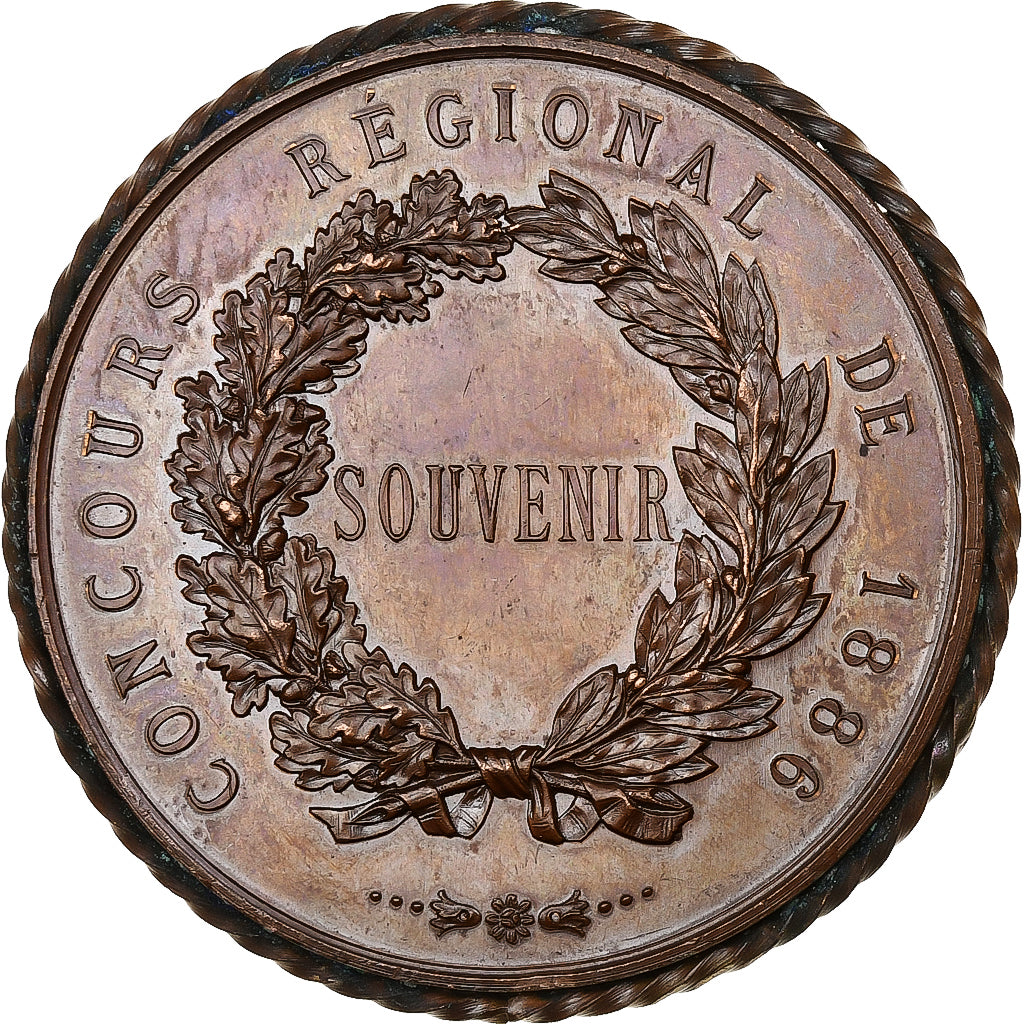 Francia, medaglia, Concours régional Evreux, 1886, Rame, BB+