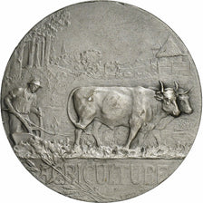 France, Médaille, Agriculture - Roubaix, 1911, Argent, SUP