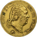 Frankreich, Louis XVIII, 40 Francs, 1818, Lille, Gold, SS, Gadoury:1092