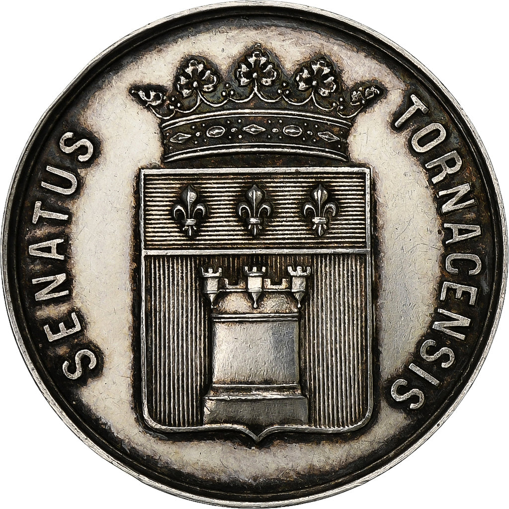 Belgium, Conseil Municipal De Tournai, 1890, Silver, E;MOLLE, AU(55-58)