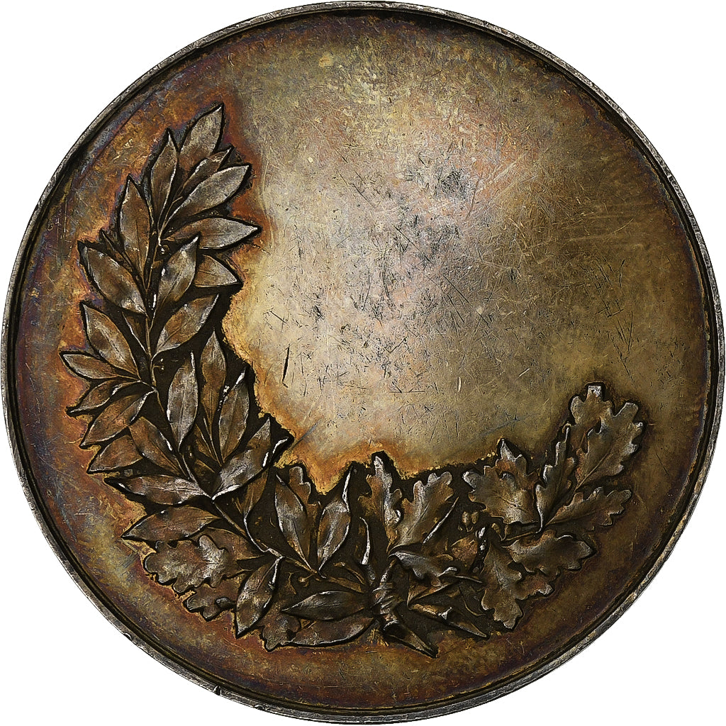 France, Médaille, Tir, Pour la Patrie, Argent, TTB+