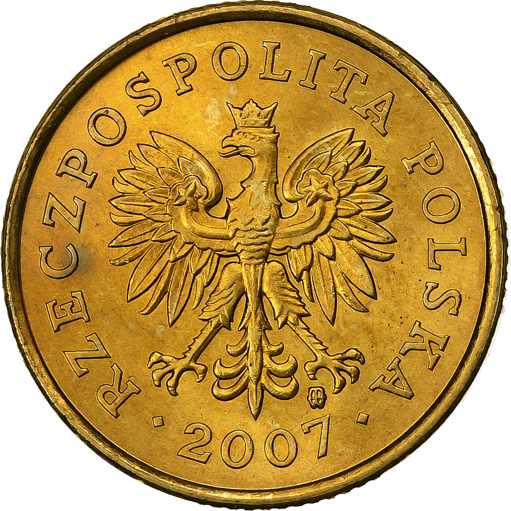 Polen, 5 Groszy, 2007, Warsaw, Tin, PR, KM:278