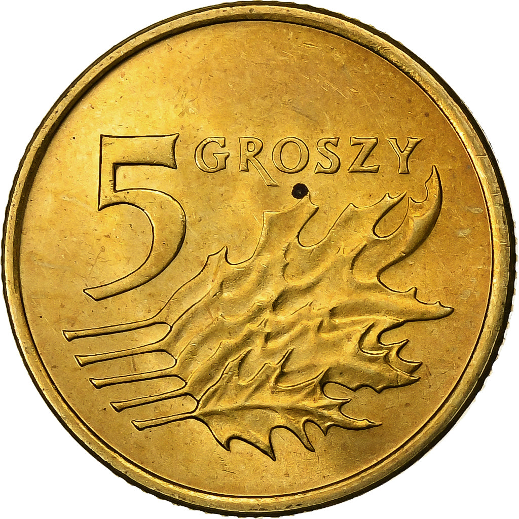 Polen, 5 Groszy, 2007, Warsaw, Tin, PR, KM:278