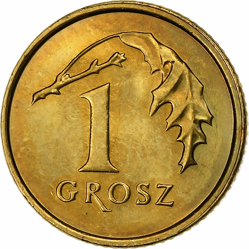 Polen, Grosz, 2007, Warsaw, Tin, PR, KM:276
