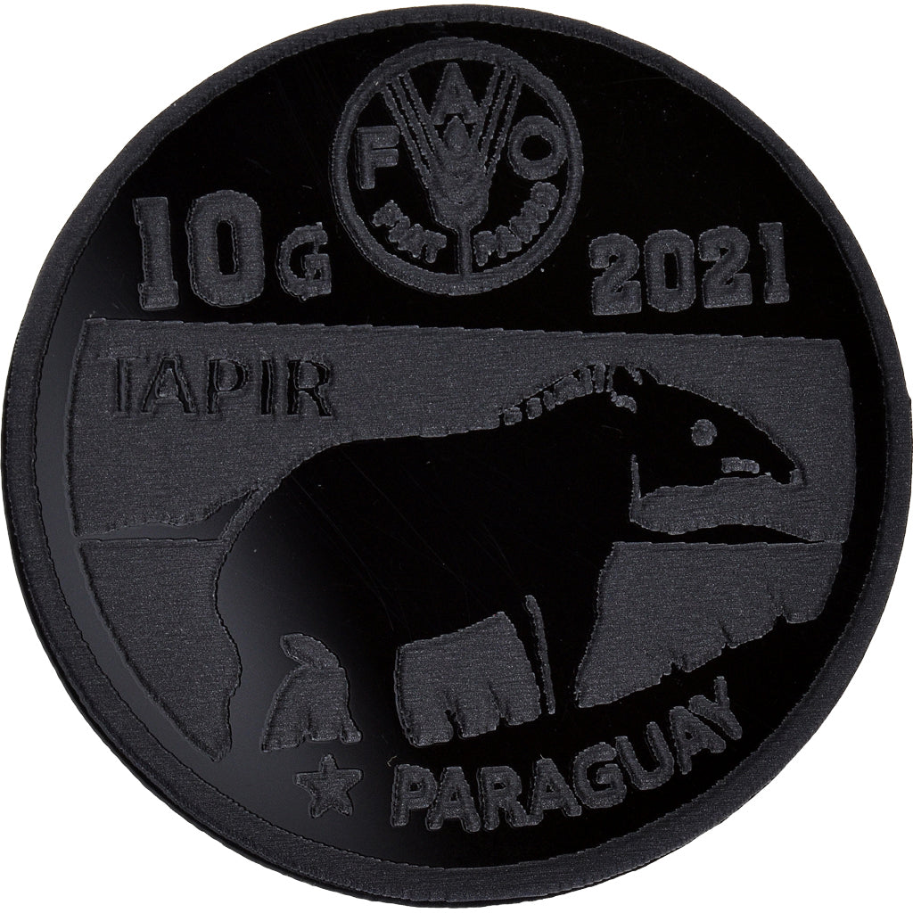 Moneta, Paraguay, 10 Guaranies, 2021, Fantasy items. Colorized.Mercosur, SPL