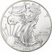 United States, 1 Dollar, 1 Oz, 2014, Philadelphia, Silver, MS(63), KM:273