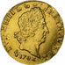 France, Louis XIV, 1/2 Louis d'or, 1702, Rennes, Gold, EF(40-45), Gadoury:240a