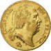 França, Louis XVIII, 20 Francs Or, 1818, Paris, Dourado, EF(40-45)