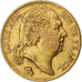 França, Louis XVIII, 20 Francs Or, 1824, Paris, Dourado, VF(30-35)