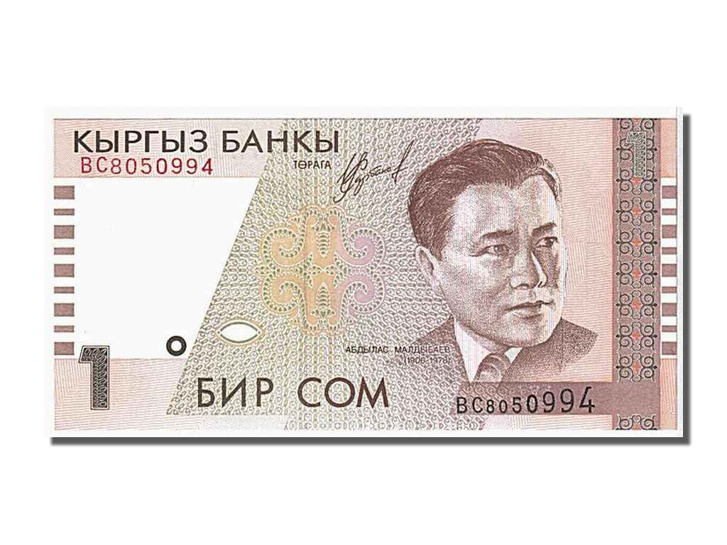 Banknote, KYRGYZSTAN, 1 Som, 1994, UNC(65-70)