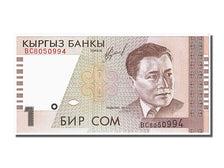 Banknote, KYRGYZSTAN, 1 Som, 1994, UNC(65-70)