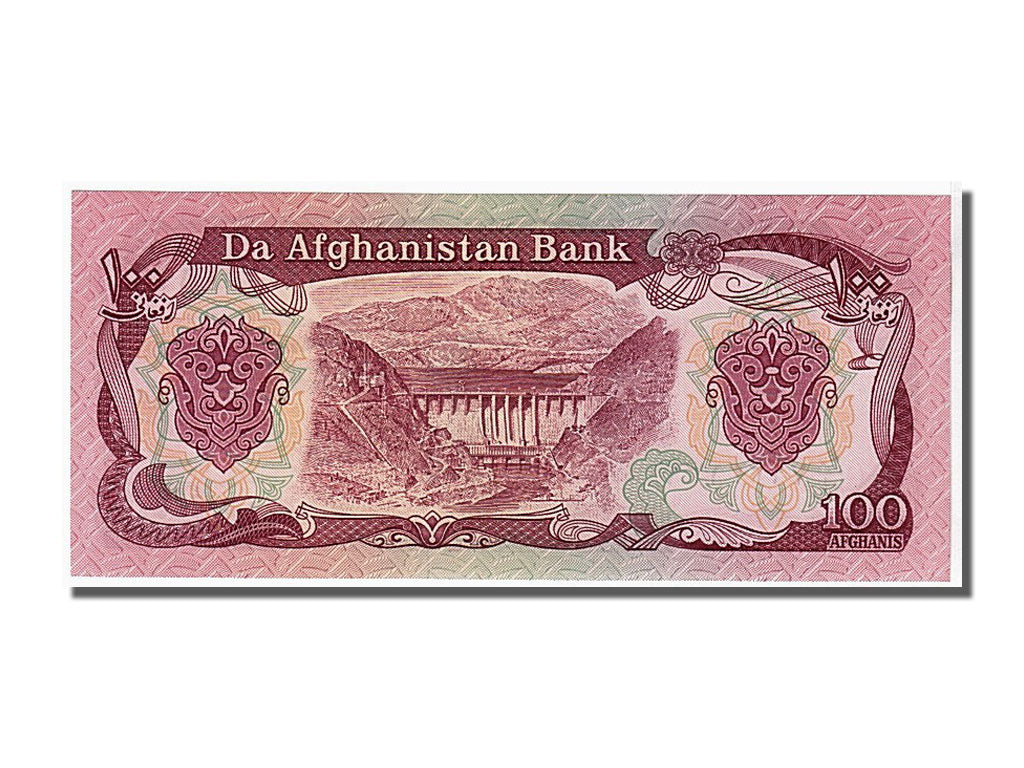 Banknote, Afghanistan, 100 Afghanis, 1991, KM:58c, UNC(65-70)