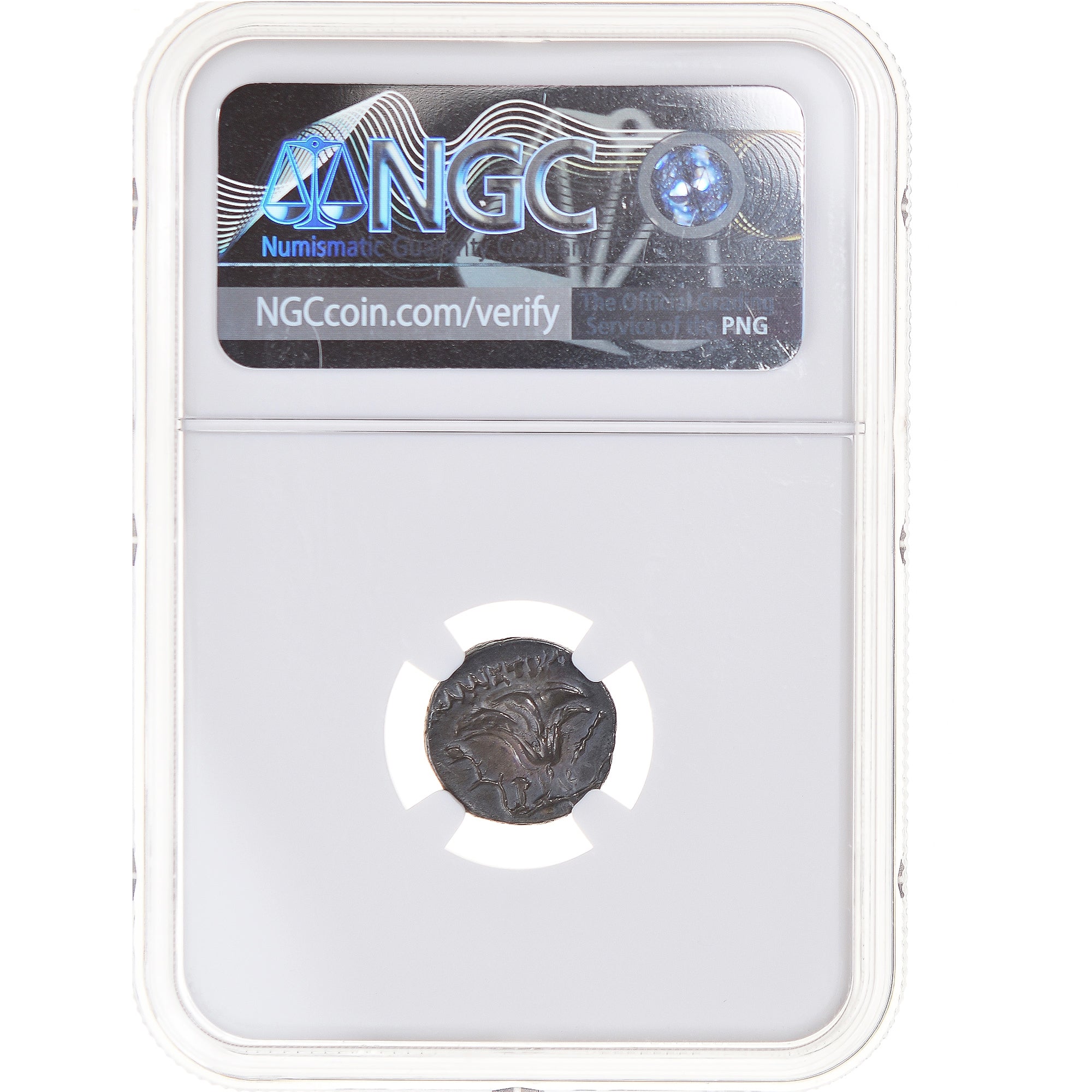 Moneta, Caria, Drachm, 3rd-2nd century BC, Rhodes, graded, NGC, Ch VF, MB+