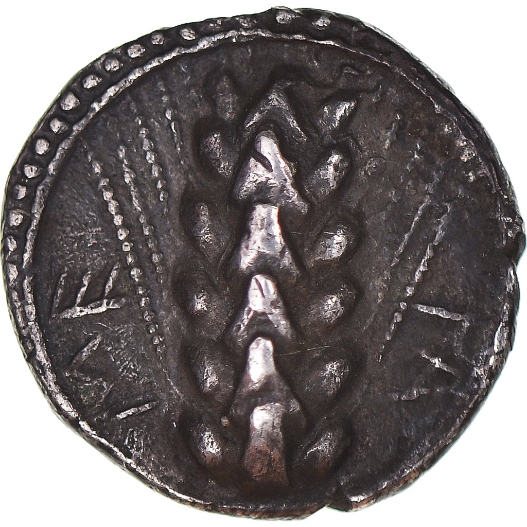 Lucania, Triobol, ca. 470-440 BC, Metapontion, Pedigree, Silver, EF(40-45)