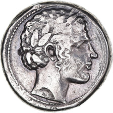 Sicília, Tetradrachm, 455-430 BC, Leontini, Pedigree, Prata, VF(30-35)