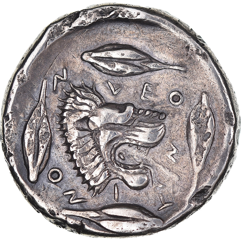 Sicília, Tetradrachm, 455-430 BC, Leontini, Pedigree, Prata, VF(30-35)