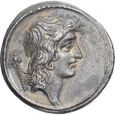 Cassia, Denier, 55 BC, Rome, Pedigree, Argent, TTB+, Crawford:428/3