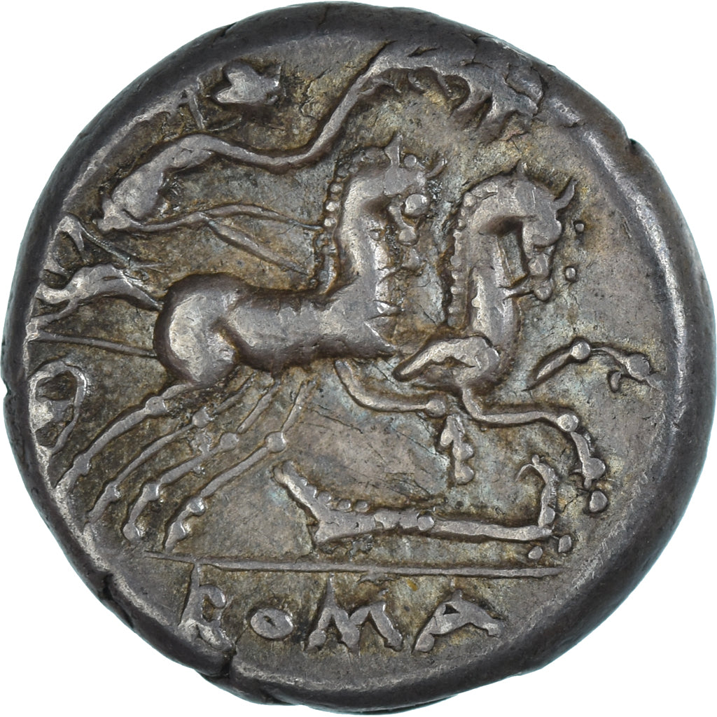 Cipia, Denarius, 115-114 BC, Rome, Silber, SS, Crawford:289/1