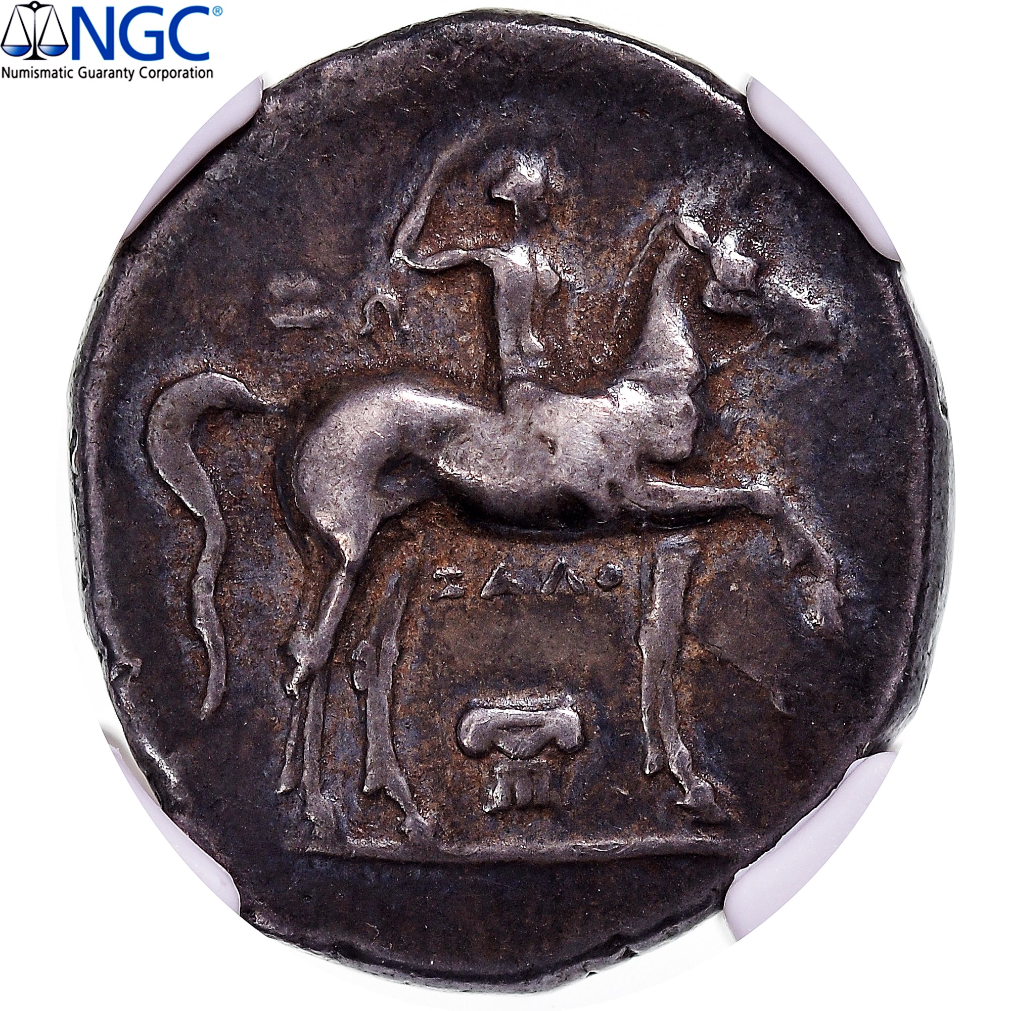 Calabre, Didrachme, ca. 280-272 BC, Tarente, Argent, NGC, VF 4/5-4/5