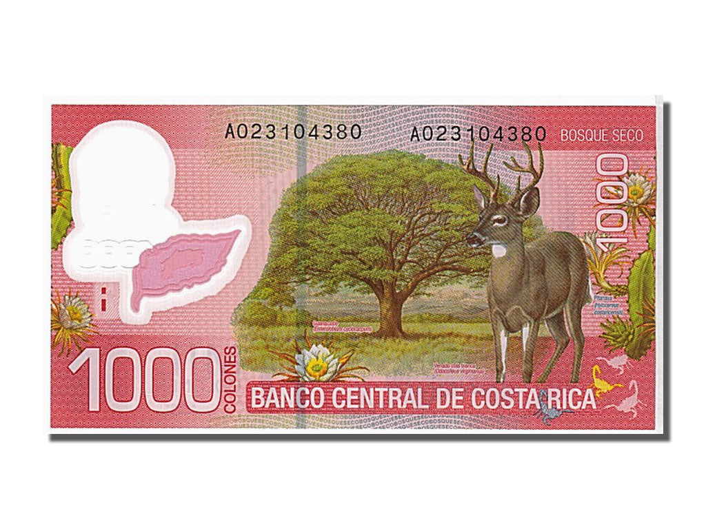 Geldschein, Costa Rica, 1000 Colones, 2009, UNZ