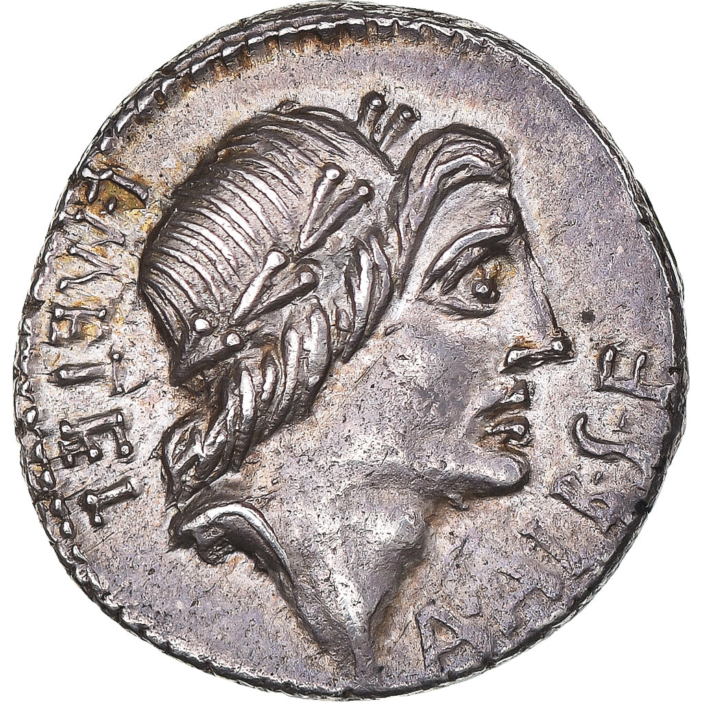 Caecilia, Publicia, Postumia, Denarius, 95-92 BC, Rome, Silver, AU(55-58)
