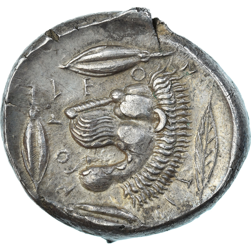 Sicília, Tetradrachm, ca. 430-425 BC, Leontini, Prata, NGC, AU(55-58)