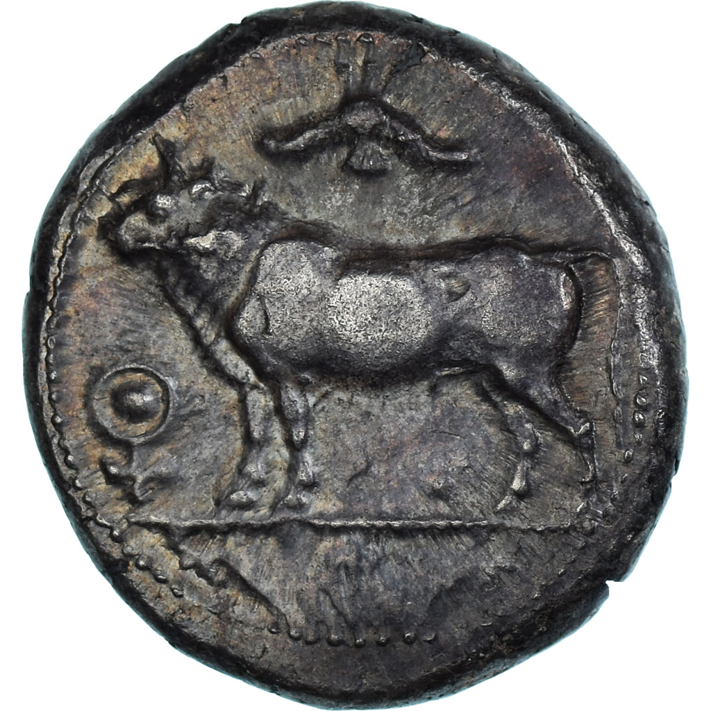 Cyprus, Stasandros, Stater, ca. 460-400 BC, Paphos, Argento, BB+