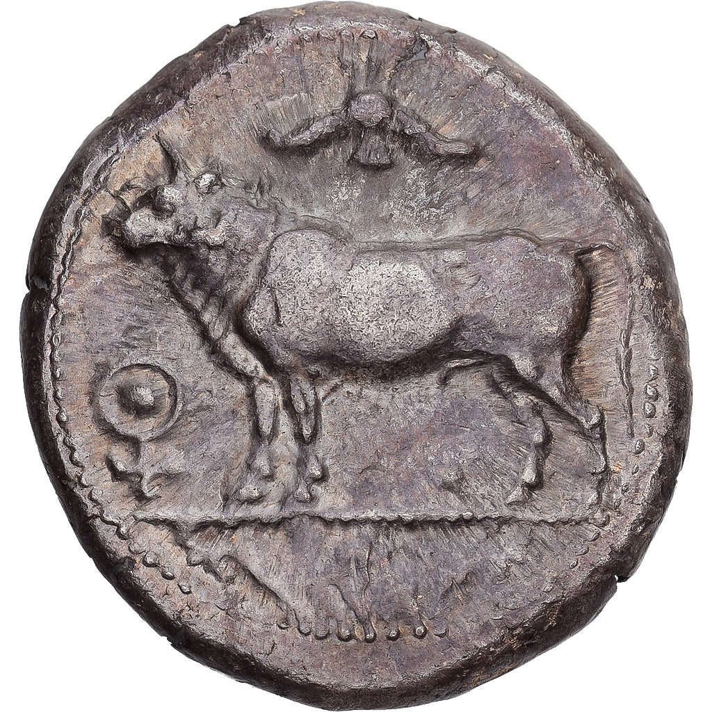 Cyprus, Stasandros, Stater, ca. 460-400 BC, Paphos, Silver, AU(50-53)