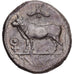 Cyprus, Stasandros, Stater, ca. 460-400 BC, Paphos, Silver, AU(50-53)
