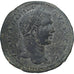 Chypre, Caracalla, Tetrassarion, 198-217, Koinon of Cyprus, Bronze, TTB