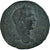 Chypre, Caracalla, Tetrassarion, 198-217, Koinon of Cyprus, Bronze, TTB