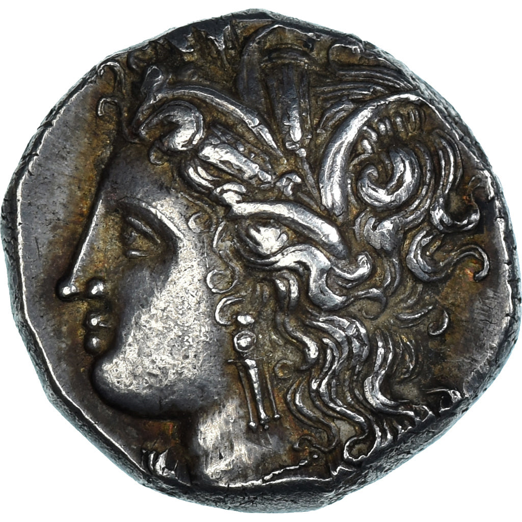 Lucania, Nomos, ca. 330-290 BC, Metapontion, Silver, NGC, Ch XF★ 5/5-5/5