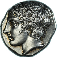 Macedonia, Tetradrachm, ca. 420-375 BC, Olynthus, Srebro, NGC, Ch XF 5/5 4/5
