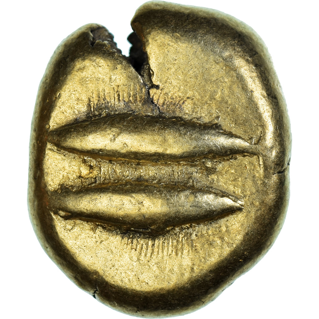 Mysia, Stater, ca. 600-550 BC, Cyzicus, Electrum, NGC, F(12-15)