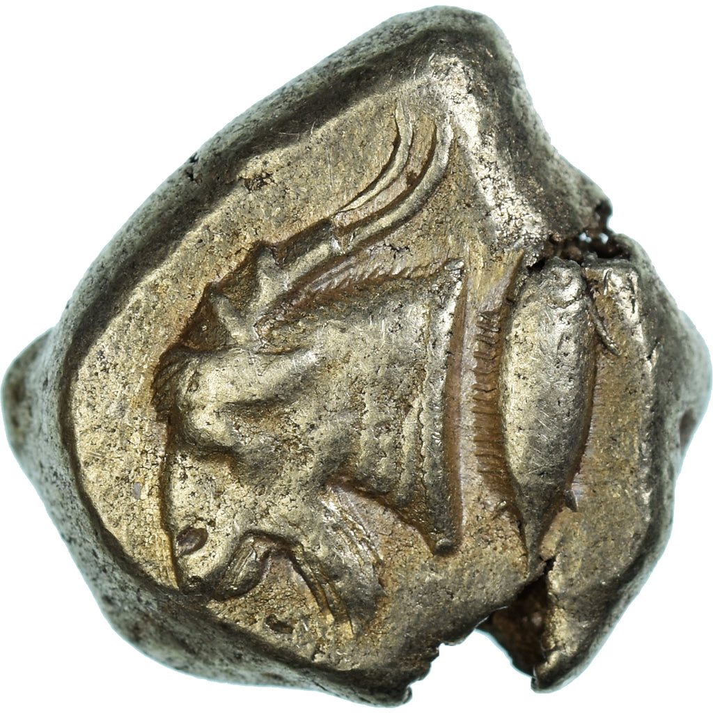Mysia, Stater, c. 550-460 BC, Kyzikos, Electrum, EF(40-45), SNG-France:186