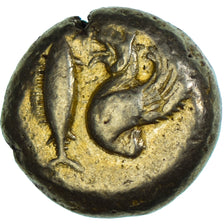 Mísia, Stater, ca. 550-450 BC, Cyzicus, Eletro, EF(40-45), SNG-vonAulock:1181