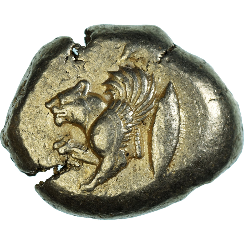 Mysia, Stater, ca. 550-450 BC, Kyzikos, Electrum, NGC, Ch VF 5/5-5/5