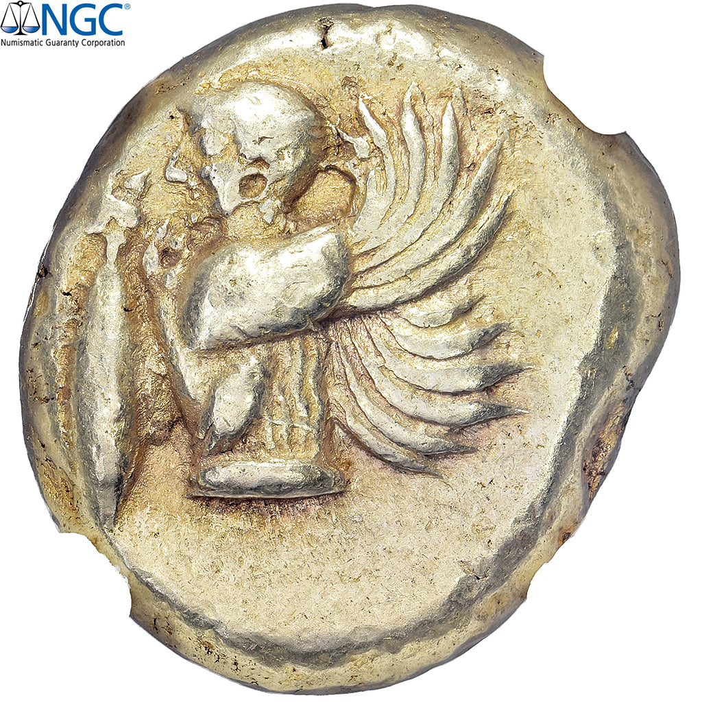 Mysia, Stater, ca. 550-470 BC, Kyzikos, Electro, NGC, XF 5/5 4/5, SNG-France:205