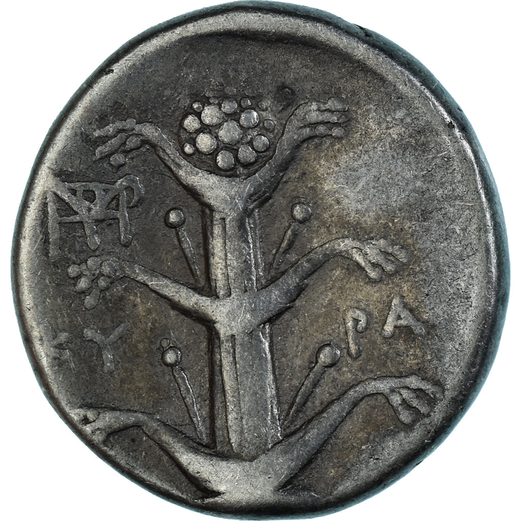 Kyrenaica, Magas, Didrachm, ca. 294-275 BC, Cyrene, Srebro, VF(30-35), BMC:249