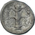 Kyrenaica, Magas, Didrachm, ca. 294-275 BC, Kyrene, Silver, VF(30-35), BMC:255