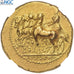 Kyrenaica, Stater, ca. 331-322, Cyrene, Złoto, NGC, Ch VF 4/5-4/5, BMC:106