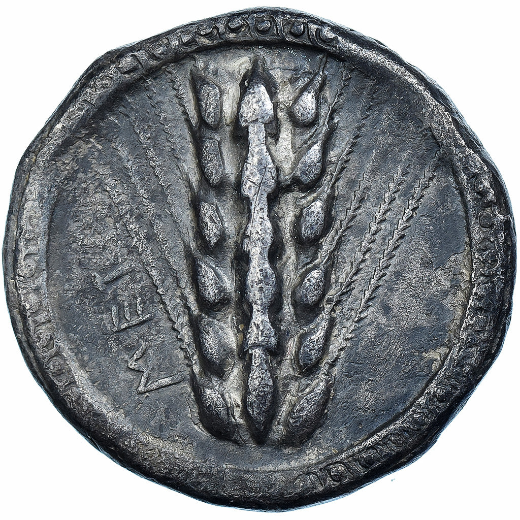 Lucania, Nomos, ca. 510-470 BC, Metapontum, Silber, SS, HGC:1-1028, HN