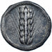 Lucania, Nomos, ca. 510-470 BC, Metapontum, Silber, SS, HGC:1-1028, HN